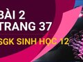 Bài 2 trang 37 sách giáo khoa sinh học 12