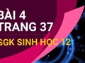 Giải sinh lớp 12: Đáp án bài 4 trang 37 SGK sinh học