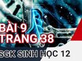 Đáp án bài 9 trang 38 sách giáo khoa sinh học 12