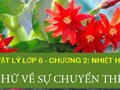 Giải ô chữ về sự chuyển thể trang 91, 92 sgk vật lý lớp 6