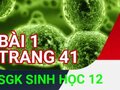 Giải sinh lớp 12: Đáp án bài 1 trang 41 SGK sinh học