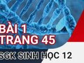 Giải sinh lớp 12: Đáp án bài 1 trang 45 SGK sinh học