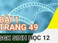 Giải sinh lớp 12: Đáp án bài 1 trang 49 SGK sinh học