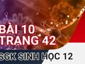 Giải bài 10 trang 42 sách giáo khoa sinh học lớp 12
