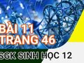 Giải bài 11 trang 46 sách giáo khoa sinh học lớp 12