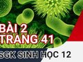 Đáp án bài 2 trang 41 sách giáo khoa sinh học 12