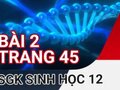Đáp án bài 2 trang 45 sách giáo khoa sinh học 12
