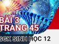 Giải bài 3 trang 45 sách giáo khoa sinh học lớp 12