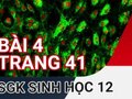 Giải sinh lớp 12: Đáp án bài 4 trang 41 SGK sinh học