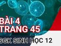 Giải sinh lớp 12: Đáp án bài 4 trang 45 SGK sinh học