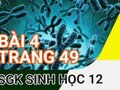 Giải sinh lớp 12: Đáp án bài 4 trang 49 SGK sinh học