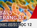 Đáp án bài 5 trang 41 sách giáo khoa sinh học 12