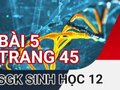 Đáp án bài 5 trang 45 sách giáo khoa sinh học 12