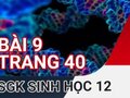 Giải bài 9 trang 40 sách giáo khoa sinh học lớp 12