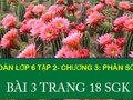 Đáp án câu hỏi 3 trang 18 sách giáo khoa toán 6 tập 2