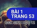 Giải sinh lớp 12: Đáp án bài 1 trang 53 SGK sinh học