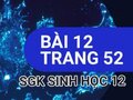 Giải bài 12 trang 52 sách giáo khoa sinh học lớp 12