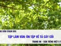 Tập làm văn: Ôn tập về tả cây cối