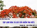Tập làm văn: Tả cây cối (kiểm tra viết) 