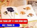 Giải toán lớp 11: Đáp án bài 1 trang 35 SGK hình học