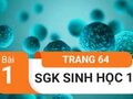 Đáp án bài 1 trang 64 sách giáo khoa sinh học 12