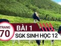 Đáp án bài 1 trang 70 sách giáo khoa sinh học 12