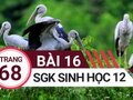 Đáp án bài 16 trang 68 sách giáo khoa sinh học 12