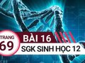 Giải bài 16 trang 69 sách giáo khoa sinh học lớp 12