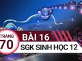 Giải sinh lớp 12: Đáp án bài 16 trang 70 SGK sinh học