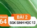 Giải bài 2 trang 64 sách giáo khoa sinh học lớp 12