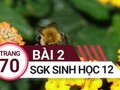 Giải bài 2 trang 70 sách giáo khoa sinh học lớp 12