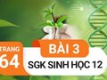 Giải sinh lớp 12: Đáp án bài 3 trang 64 SGK sinh học