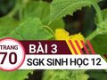 Giải sinh lớp 12: Đáp án bài 3 trang 70 SGK sinh học