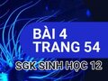 Giải sinh lớp 12: Đáp án bài 4 trang 54 SGK sinh học
