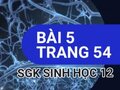 Đáp án bài 5 trang 54 sách giáo khoa sinh học 12