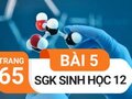 Giải bài 5 trang 65 sách giáo khoa sinh học lớp 12