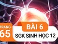 Giải sinh lớp 12: Đáp án bài 6 trang 65 SGK sinh học