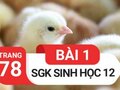 Giải bài 1 trang 78 sách giáo khoa sinh học lớp 12