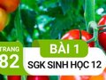 Giải bài 1 trang 82 sách giáo khoa sinh học lớp 12