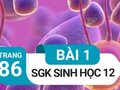 Đáp án bài 1 trang 86 sách giáo khoa sinh học 12