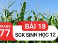 Đáp án bài 18 trang 77 sách giáo khoa sinh học 12