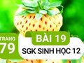 Giải sinh lớp 12: Đáp án bài 19 trang 79 SGK sinh học