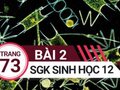 Bài 2 trang 73 SGK Sinh học 12