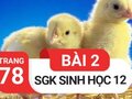 Giải sinh lớp 12: Đáp án bài 2 trang 78 SGK sinh học