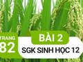 Giải sinh lớp 12: Đáp án bài 2 trang 82 SGK sinh học