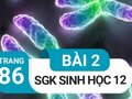 Giải bài 2 trang 86 sách giáo khoa sinh học lớp 12
