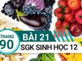 Giải sinh lớp 12: Đáp án bài 21 trang 90 SGK sinh học
