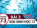 Đáp án bài 3 trang 73 sách giáo khoa sinh học 12