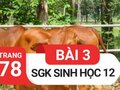 Đáp án bài 3 trang 78 sách giáo khoa sinh học 12