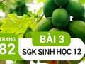 Đáp án bài 3 trang 82 sách giáo khoa sinh học 12